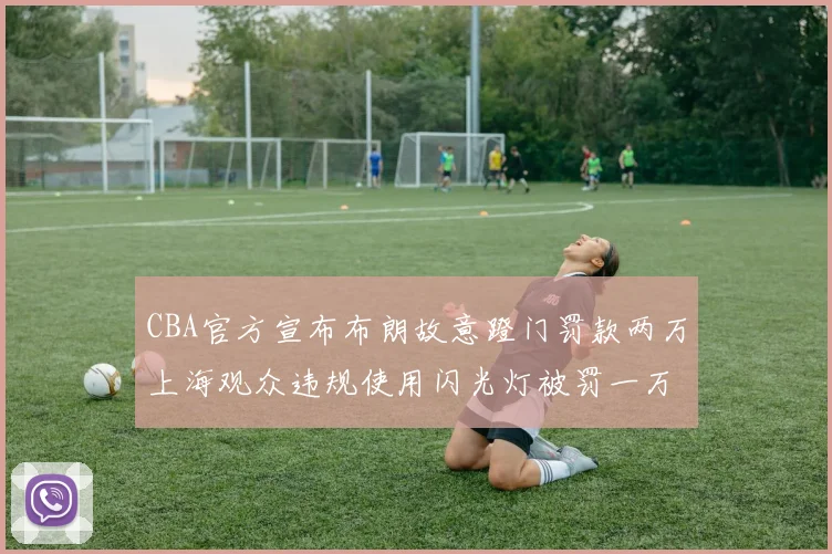 CBA官方宣布布朗故意蹬门罚款两万上海观众违规使用闪光灯被罚一万